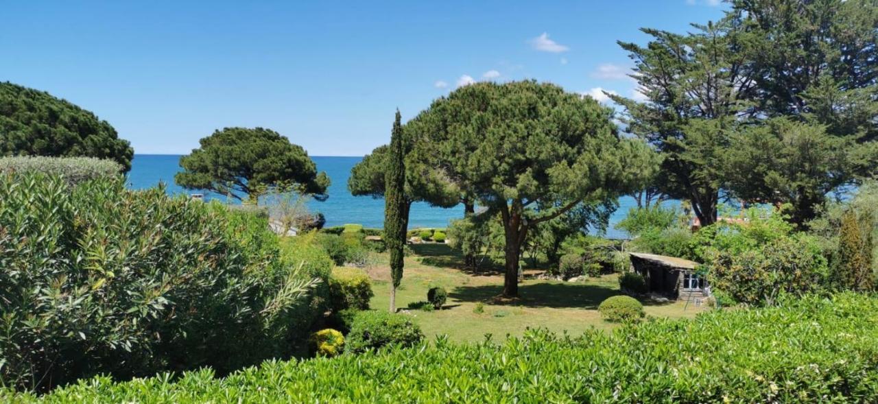 Villa I Merli Nous contacter avant réservation Saint-Florent  Extérieur photo